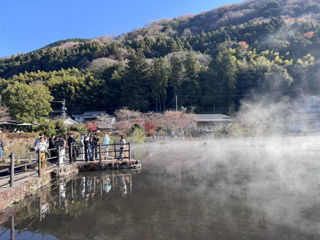 ๐้้ฑๆนใปๆนฏๅธ้ข โโ ๅฑฑๅ่ฃก็้็พๆๅ
๐้้ฑๆนใปๆนฏๅธ้ข โโ ๅฑฑๅ่ฃก็้็พๆๅ
