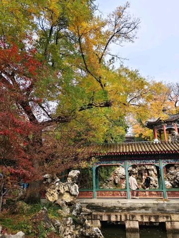 Autumn's Masterpiece in an Emperor's Garden