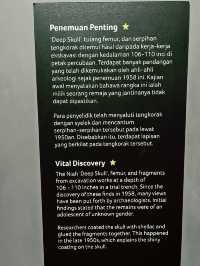 Archaeology Sarawak Gallery – Must-Visit at Borneo Cultures Museum