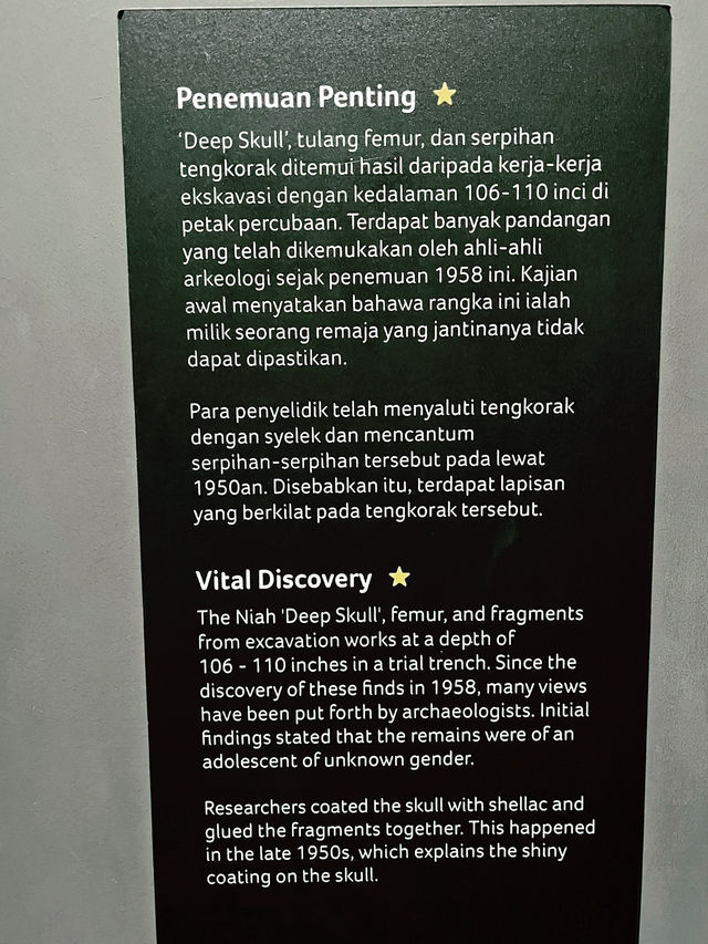 Archaeology Sarawak Gallery – Must-Visit at Borneo Cultures Museum