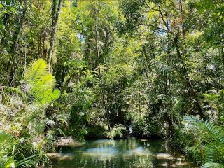 หัวใจมรกตแห่งเขตร้อน