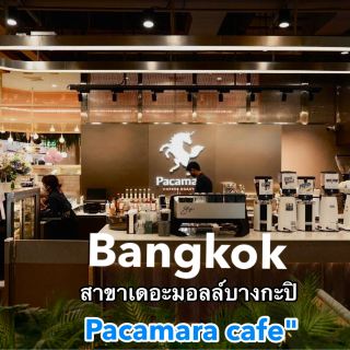 #CafeReview Pacamara Coffee Roasters is a Thai specialty coffee brand that focuses on the concept of "Everyday Specialty," or specialty coffee that can be enjoyed every day. Founded by Mr. Chatree Treelertkul, it started as a coffee roastery in Chiang Mai before expanding branches throughout Bangkok and other provinces.
Pacamara Coffee Roasters is a Thai specialty coffee brand that adheres to the concept of making specialty coffee easily accessible every day. It started as a quality coffee roastery in Chiang Mai before growing to have branches throughout Bangkok and major cities. The brand's standout feature is its quality control from the source, with a team of expert Q-graders who select coffee beans from farms in Thailand and leading growing regions around the world, roasting them with their own unique recipe. A menu item that many people love is the Dirty Coffee, which is fragrant, creamy, and at the perfect temperature, as well as their Coftail drinks, which creatively combine the art of cocktail making with coffee. For those who prefer drip coffee or brewing at home, there are popular beans like Napoli II and House Blend, which offer nutty, caramel, and chocolate notes that are easy to drink and pair excellently with milk-based drinks. Currently, you can access their services in various ways. Whether you prefer to enjoy a cup at one of their trendy branches, like the Thonglor 25 branch or those in leading shopping malls, or the convenience of ordering through their own app to collect points and receive special privileges, or even purchasing coffee beans and brewing equipment online to create your favorite coffee yourself, it's all possible. #cafe