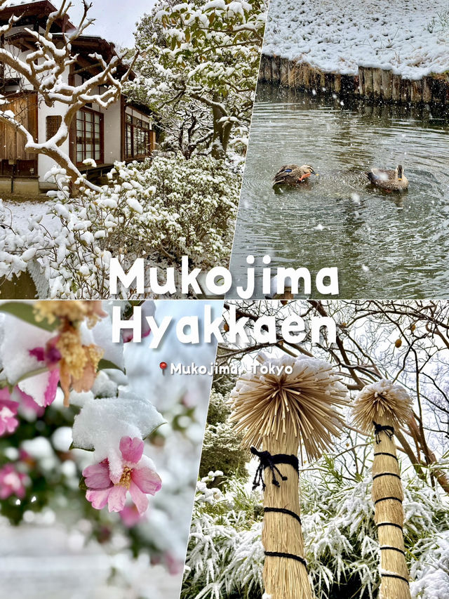 Snow-Covered Paths Through History Snow-Covered Paths Through History