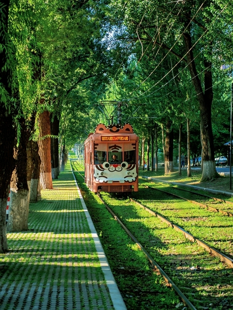 電車54號線 長春—乘坐復古電車穿越浪漫森林