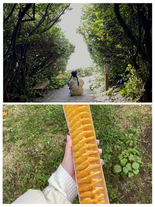 🇰🇷 제주에서 만나는 다양한 맛과 감성 여행 🍊🥘🍦