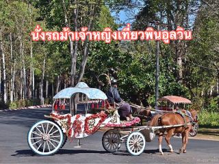 Pyin Oo Lwin
ช่วงเวลาเหมาะสม : ตุลาคม-มกราคม เป็นช่วงที่อากาศหนาวที่สุด แต่เมืองนี้อากาศเย็นสบายตลอดทั้งปี สามารถมาได้ตลอด

การเดินทาง : สามารถนั่งเครื่องบินไปลงที่เมืองมัณฑะเลย์ แล้วต่อรถทัวร์ หรือรถไฟนั่งไปพินอูลวิน ใช้เวลาประมาณ 3 ชั่วโมง หากเป็นช่วงเทศกาลอาจจะใช้เวลามากถึง 6 ชั่วโมงเพราะรถจะติดตรงระหว่างทางขึ้นเขา

พินอูลวิน หรือคนทั่วไปเรียกกันว่า เมเมียว (Maymyo) เป็นเมืองหนึ่งในประเทศพม่าตอนบน โดยคำว่า เมเมียว มาจากชื่อของ พันเอกเมย์ ฟลาวเวอร์ ผู้บัญชาการกองพลทหารราบอังกฤษ ที่ได้รับหน้าที่เป็นผู้บัญชาการใหญ่ในเมืองนี้เมื่อครั้งที่พม่ายังเป็นประเทศอาณานิคมของอังกฤษ เมื่อเกือบ 100 ปีก่อน เมืองพินอูลวิน ถูกทำให้เป็นฐานบัญชาการของกองทัพอังกฤษ อีกทั้งยังเป็นเมืองตากอากาศชั้นสูงของเหล่าคณะทหารและขุนนางชาวอังกฤษในสมัยก่อน

รถม้าแบบนี้มีเฉพาะที่พิน อูล วิน เท่านั้น เป็นรถม้าสไตล์ซินเดอเรลล่า ถอดแบบฉบับมาจากรถม้าของยุโรปในศตวรรษที่ 17

รถม้าจะพามาแวะจอดเที่ยวจุดแรก...วัดจีน เป็นวัดจีนเพียงแห่งเดียวในพินอูลวิน, จุดต่อไปคือ...ตึกเก่าของโรงแรมกันดักไรก์ ตามประวัติบอกว่า  ตึกหลังนี้เดิมเป็นที่ทำการของบริษัทบอมเบย์เบอร์มาเทรดดิ้ง  (Bombay Burmah Trading Company)  และเป็นคลับของชาวอังกฤษที่เข้ามาตีเทนนิสกัน เคยเป็นโรงแรมที่พัก แต่วันที่เราไปไม่ได้เปิดให้บริการเข้าพักแล้วค่ะ