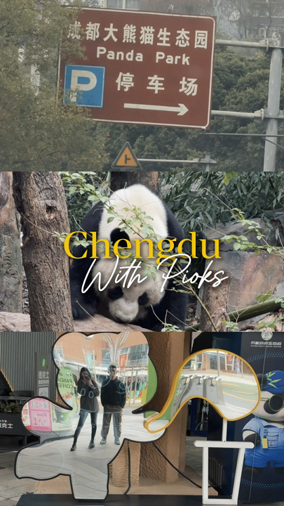 Chengdu surprised me… it’s not just about pandas 🐼✨