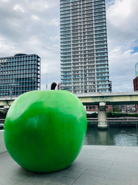Osaka Trip [A Spectacular Library Celebrating Tadao Ando's