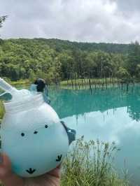 Sapporo Summer Holiday