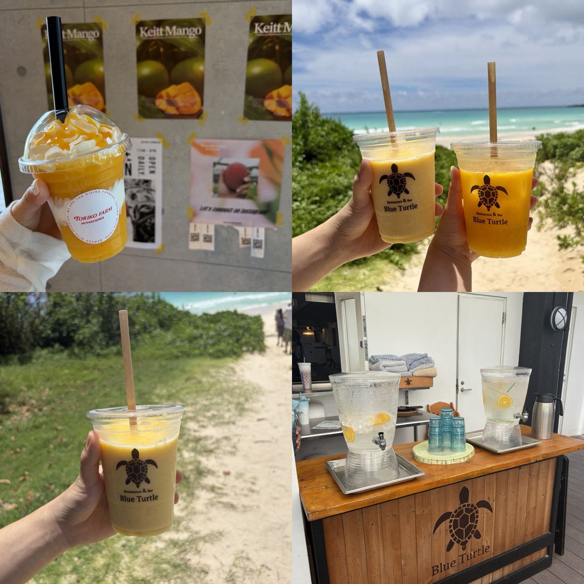 宮古島必吃的 2 間芒果甜點店
