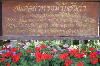 🌺🌿 Mae Fah Luang Garden – A Beautiful Garden in Chiang Rai