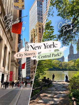 New York: City Streets or Central Park? 🗽🌿