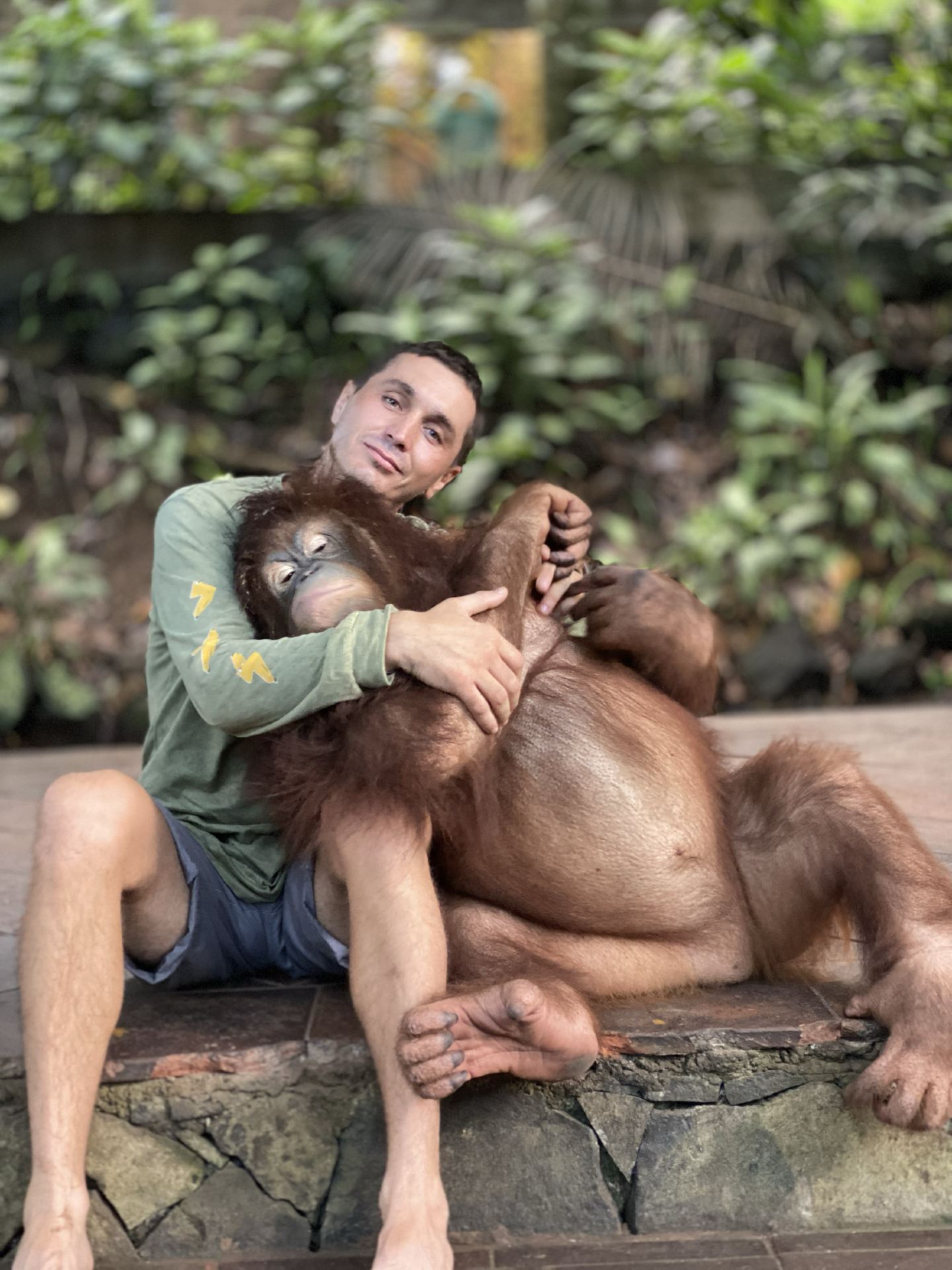 🇮🇩 Meeting Orangutans in Lombok — An Unforgettable Wildlife Adventure! 🦧🌴