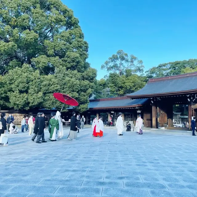 Great history and nature by Harajuku