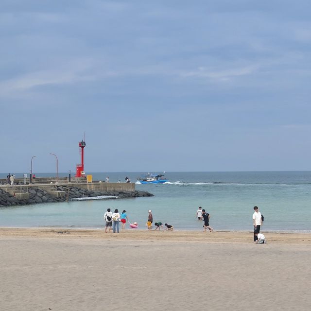 귀여운 목마가 있는 이호테우 해변🌊🌴