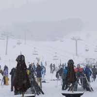 Trip fun at Breckenridge Town