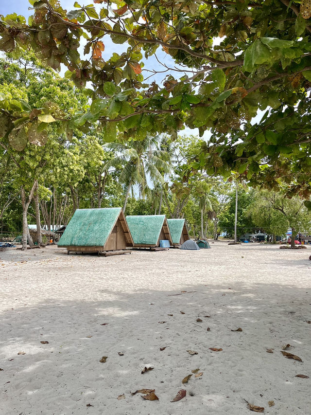 Starfish Paradise in Balabac 