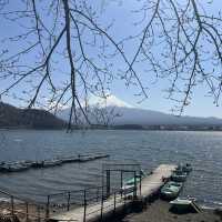 Epic views of Mt Fuji! Lake Kawaguchiko - A day trip from Tokyo. 
