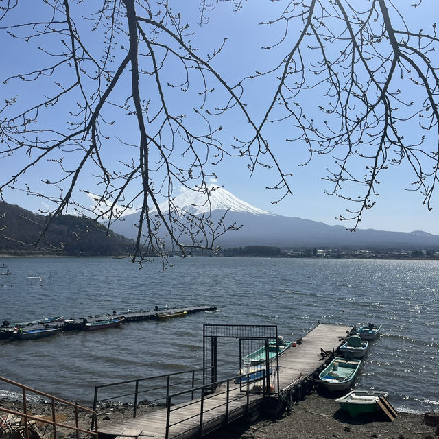 Epic views of Mt Fuji! Lake Kawaguchiko - A day trip from Tokyo. 