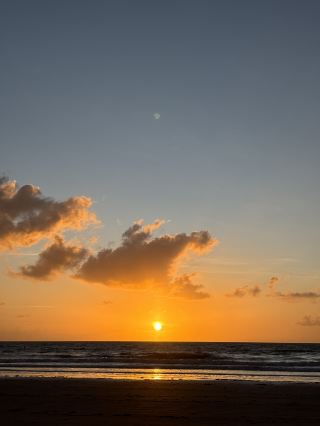 Catch the Magic of Dawn at Four Mile Beach, Port Douglas 🌅✨  
If you crave sunrise moments minus the crowds, Four Mile Beach is pure Aussie coastal bliss! The stretch of golden sand feels endless, and those early morning hues—pinks, purples, golds—are genuinely unforgettable. The tranquil vibe and vivid colors make it a must for anyone seeking a peaceful start to the day.

🗺️ Route & Activities:
Head out just before dawn, find a quiet spot anywhere along Four Mile Beach (it's more than enough space for everyone), and watch the sun climb over the Coral Sea. Stroll north for palm tree silhouettes, or venture south for uninterrupted sand and crashing waves. Early mornings usually mean the beach is almost empty!

📸 Insta-worthy Angles:
Capture the sunrise with the palms framing your shot, or angle your camera toward the water to catch those vivid reflections. Low tide offers mirror-like sand that's perfect for dramatic photos. If you love minimalist shots, wide open stretches with one or two footprints also look stunning.

📝 Practical Tips:
The beach is open 24/7, so arrive early to soak in the colors. Bring a picnic breakfast or a warm drink to linger in the morning glow. No crowds means it feels very safe and serene, but do pack insect repellent just in case—it’s tropical! 

⚠️ Precautions:
Sunrise is usually safe, but always keep an eye out for local wildlife (especially birds!). After rains, some patches can be mushy, so wear sturdy sandals. And don’t forget sunscreen, even for early light.

#PortDouglas #FourMileBeach #SunriseMagic #AustraliaTravel #CoastalEscape