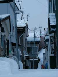 ❄️ Otaru in Winter | A Snow-Covered Fairytale
