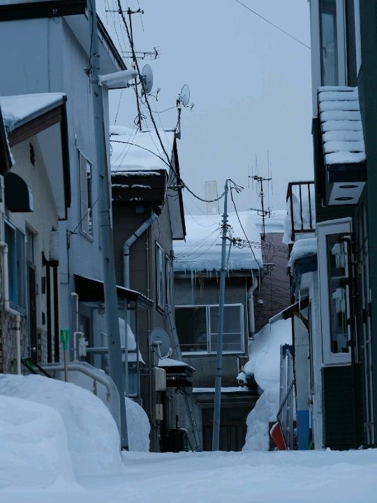 ❄️ Otaru in Winter | A Snow-Covered Fairytale