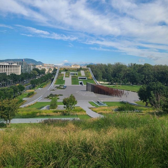 Green lung of Buda 🌻