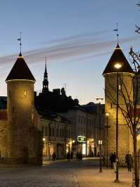 🇪🇪 시간이 멈춘 듯한 중세 도시 에스토니아의 탈린