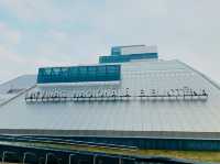 里加具有建築感的國際圖書館