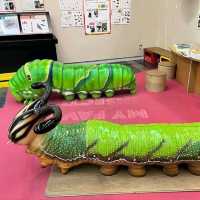 🐛伊丹市昆蟲館🐝日本標本數量最多的展覽