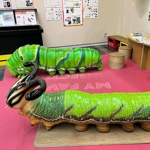 🐛伊丹市昆蟲館🐝日本標本數量最多的展覽