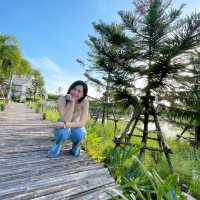 รีวิวคาเฟ่นครนายก Montreux Café and Farm