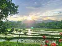 Luang Prabang province of Laos 🇱🇦 