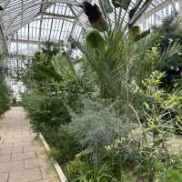 The garden of England 
