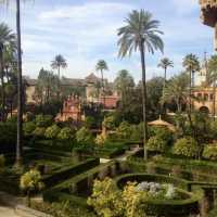 Sensational Seville!