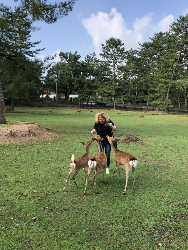 NARA, JAPAN: MY UNFORGETTABLE DAY AMONG DEERS AND TEMPLES 