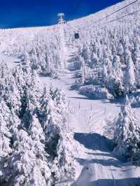 Tokyo to Yamagata Zao Onsen: The Perfect Getaway for Skiers & Non-Skiers Alike ❄️🏔️♨️