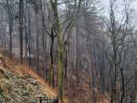 Bran Castle (Draculas Castle)