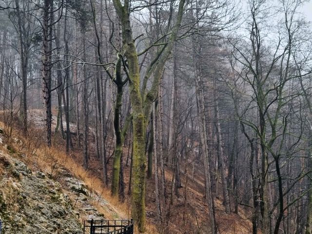 Bran Castle (Draculas Castle)