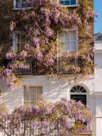 Spring in London: A Seasonal Dream 🌸🌷