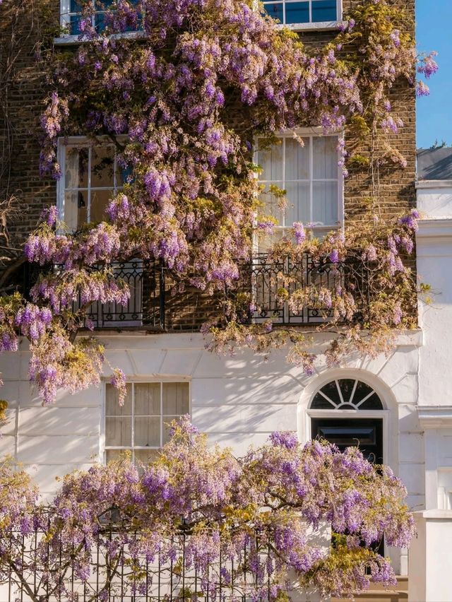 Spring in London: A Seasonal Dream 🌸🌷