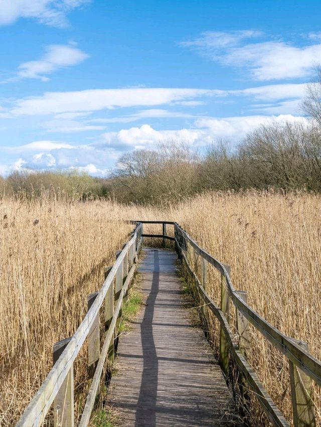 Discover Wigan: A Hidden Gem of History, Culture, and Adventure in Greater Manchester! 🌟