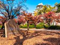 西之丸庭園