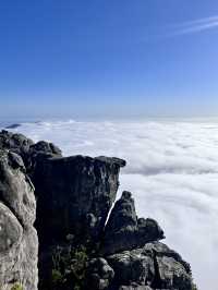 Climbing Table Mountain – Stairway to the Clouds ☁️ 