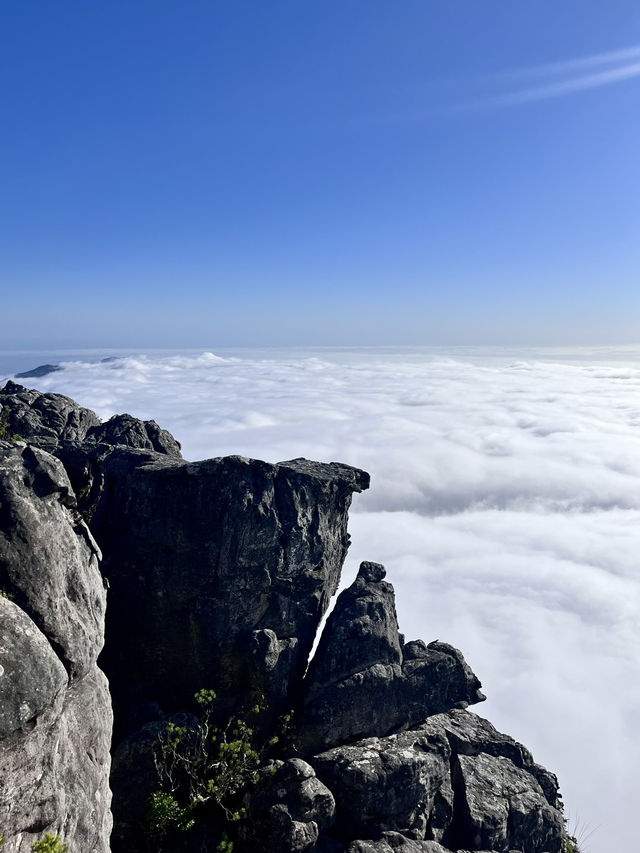 Climbing Table Mountain – Stairway to the Clouds ☁️ 