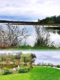 Lake Wingra湖畔徒步