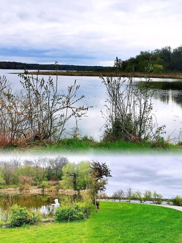 Lake Wingra湖畔徒步