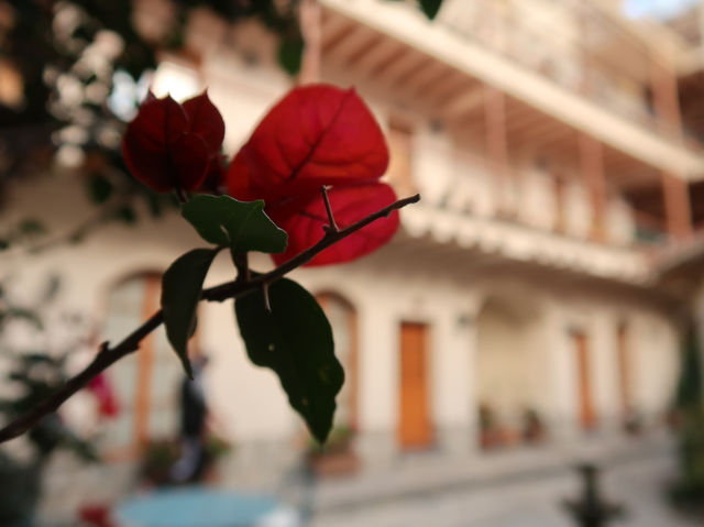 【Hotel Rosario La Paz】高地の喧騒から離れた癒しのオアシス 