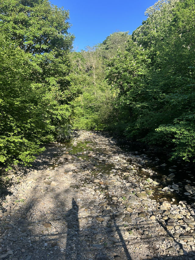 Down by the river 