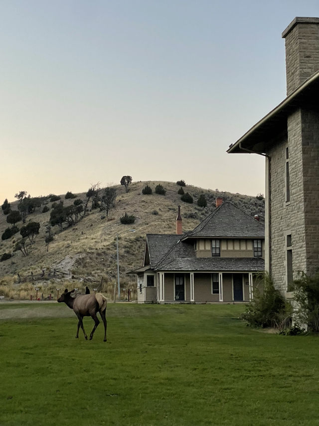🏕️ Where to Stay in Yellowstone & Grand Teton National Parks 🛏️🌲